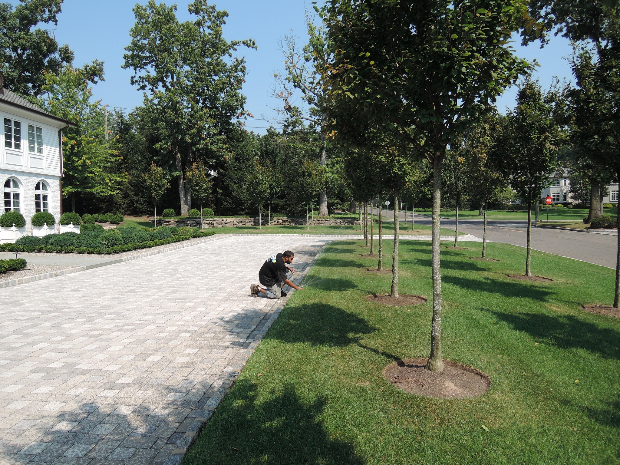 Garden State technician servicing a sprinkler beside a driveway