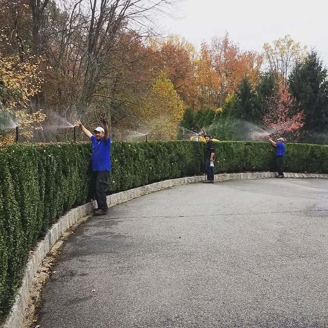 Crew working along the edge of a landscaped driveway
