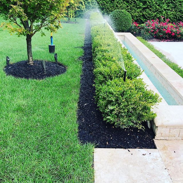 Sprinkler watering a lawn beside a neatly planted garden bed
