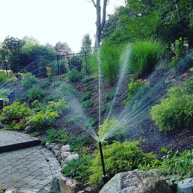 Sprinkler watering a sloped planting bed beside a stone walkway