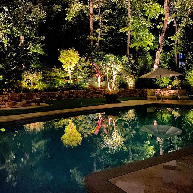 Illuminated trees reflected in a backyard pool