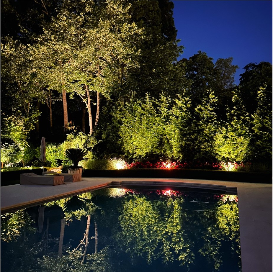 Landscape lighting reflected in a pool beside ornamental trees