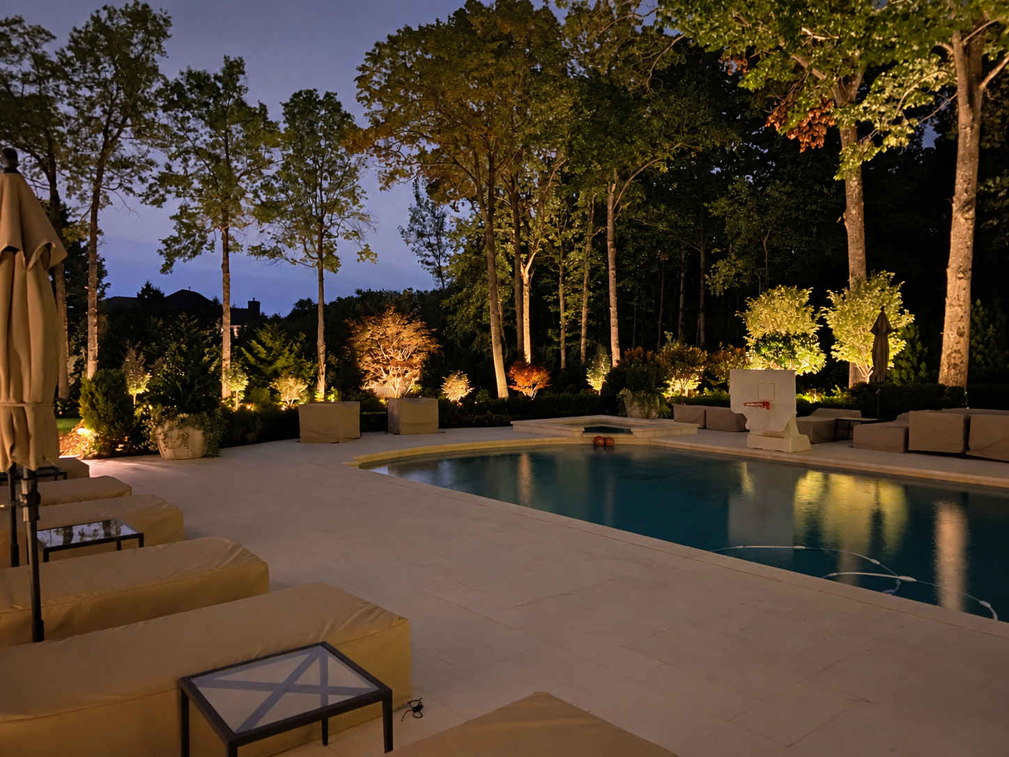 Warm landscape lighting highlights tall trees around a pool at dusk