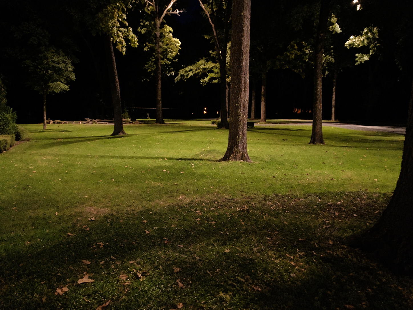 Moonlighting across the lawn
