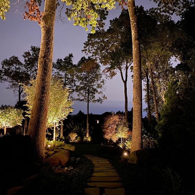 Tall trees and a winding garden path illuminated at dusk