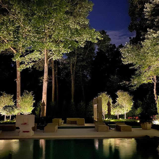 Landscape lighting highlights trees behind a swimming pool