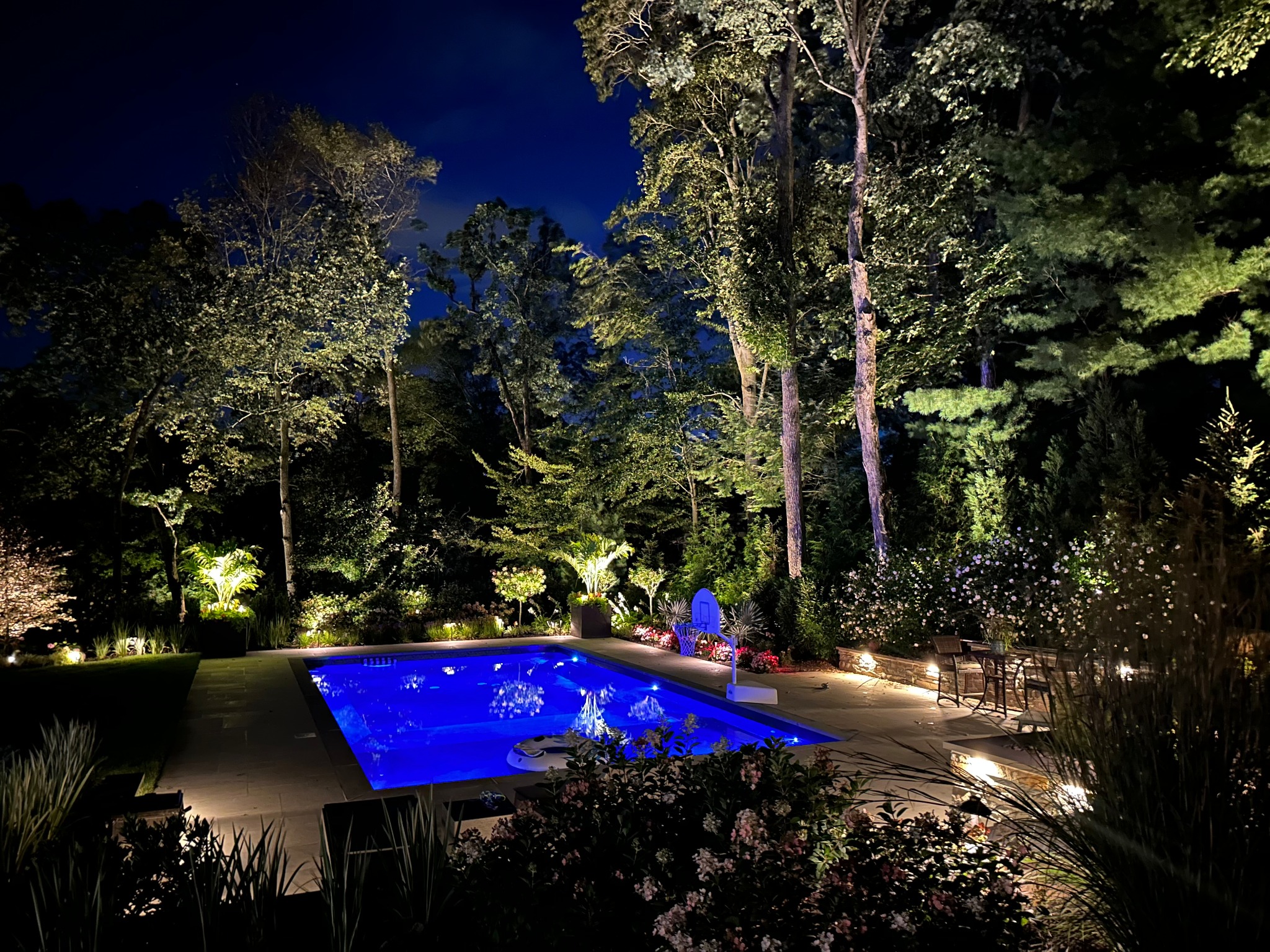 Poolside landscape lighting highlights surrounding trees at night